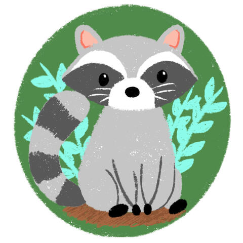 Raccoon